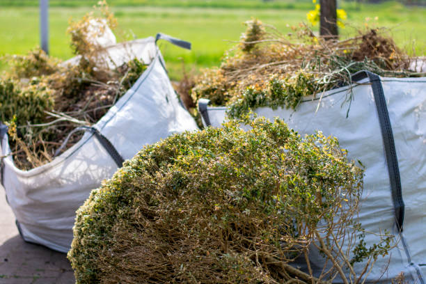 Best Basement Cleanout Services  in Charlotte Hall, MD